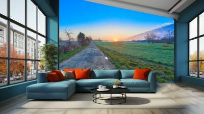 Country  Road at Sunrise with Field Wall mural