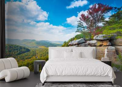 East Pinnacle Lookout Wall mural