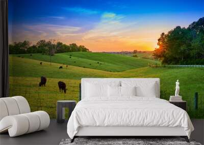 Field of Cows Grazing at Sunset Wall mural