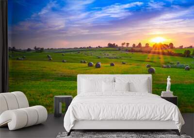 Round Hay Bails in a Field Wall mural