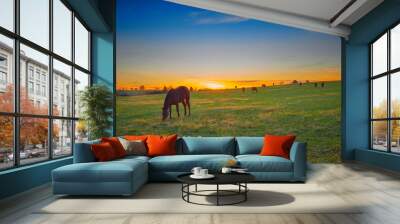 Thoroughbred Horses grazing at Dusk Wall mural