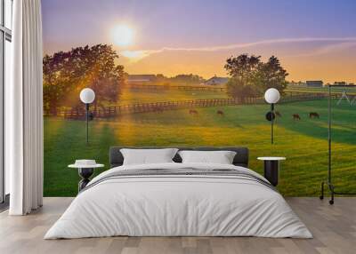 Thoroughbred Horses Grazing at Sunset Wall mural