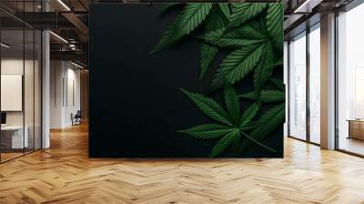 Lush cannabis leaves spread across a dark backdrop, emphasizing their rich green hue and potential in wellness Wall mural