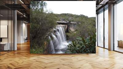 Nice little waterfall in the outback forest Australia  Wall mural