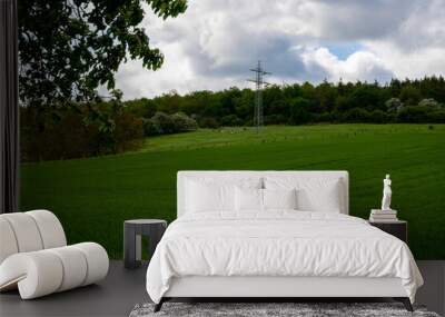 Panoramic view over a field with a row of trees and a hill in the background Wall mural