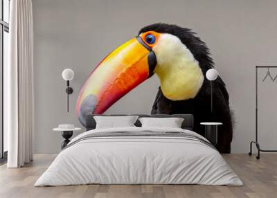 close-up portrait of a toucan bird with a nuetral background Wall mural