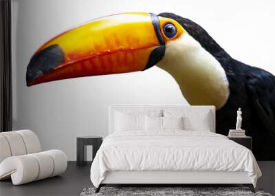 PNG illustration with a transparent background portrait of a toucan bird Wall mural