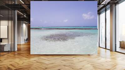 Warm ocean water invites for a dive a baby beach in Aruba Wall mural