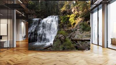 waterfall in yosemite Wall mural