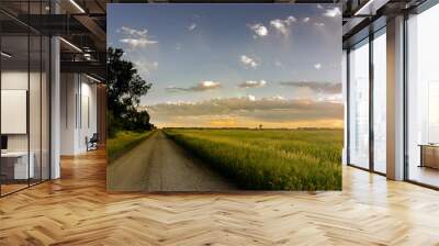 Country Road Wall mural