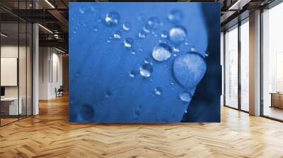 blue drops Wall mural