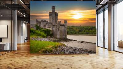 Blackrock Castle and observarory in Cork at sunset, Ireland Wall mural