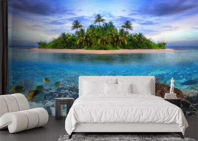 marine life at tropical island of maldives Wall mural