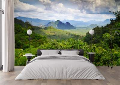 Rainforest of Khao Sok National Park in Thailand Wall mural