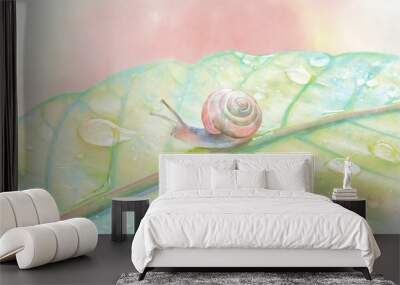 snail and flower Wall mural