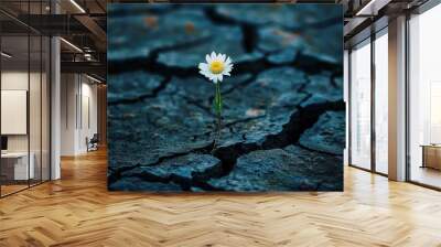 Daisy Dark Surfac Bright From Single Cracked Emerging Wall mural