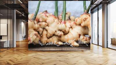 Fresh gingers on the wood table Wall mural