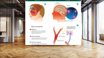 Migraine. Headache, pain, tend cooccur on one side of the head.Pressured blood vessels reduce blood flow for brain. Illustration. Wall mural