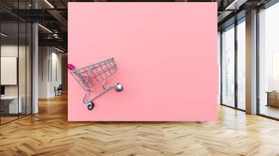 Empty shopping cart on pink background. Shopping, shopping online concept.,copy space, top view Wall mural