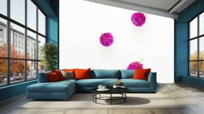 Purple and pink Globe Amaranth flower laid in group of three on white background Wall mural