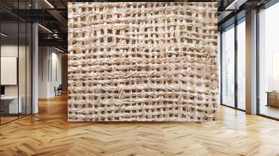 Detailed woven fabric texture background mesh pattern light beige color blank Wall mural