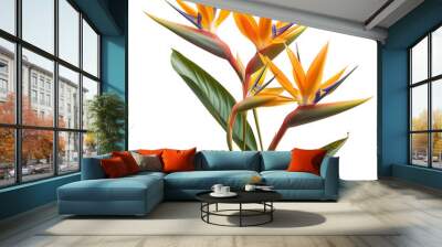 Orange strelitzia reginae tropical flower clip art Wall mural