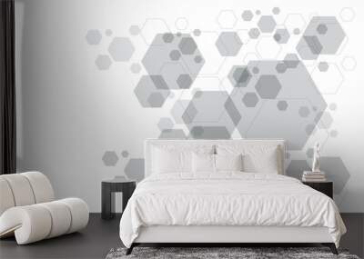 Abstract grey hexagon polygon on white design modern futuristic background vector Wall mural