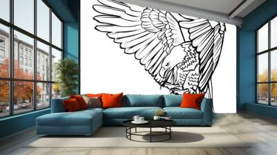 Bald eagle attack swoop landing hand draw black line on white background vector illustration. Wall mural