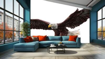 Bald eagle flying draw and paint on white background vector illustration. Wall mural