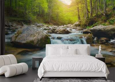 spring forest nature landscape beautiful spring stream river rocks in mountain forest Wall mural