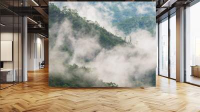 Pure of foggy in forest at top of mountain in rainy season located north of Thailand Wall mural