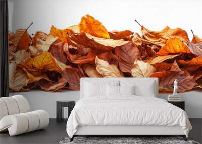 A neat pile of dry autumn leaves in various shades of brown and orange, isolated on a clean white background Wall mural