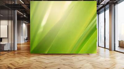 Natural Green Leaves Background in soft focus with Shiny Light. Spring Natural Background Concept. Wall mural