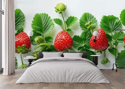 Isolated on white background, a ripe strawberry with green leaves Wall mural