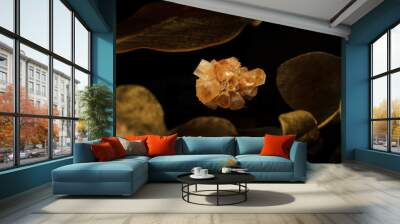 Orange aragonite crystal on a black background with leaves 2 Wall mural