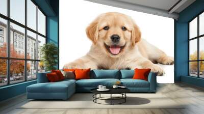 A cheerful golden retriever puppy, isolated against a white background, capturing its playful and energetic mood with realistic fur details Wall mural