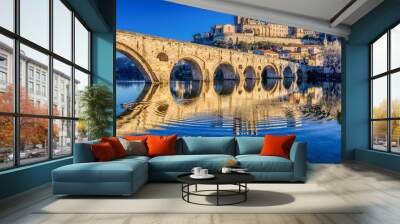 The Old Bridge at Beziers and St. Nazaire Cathedral Wall mural