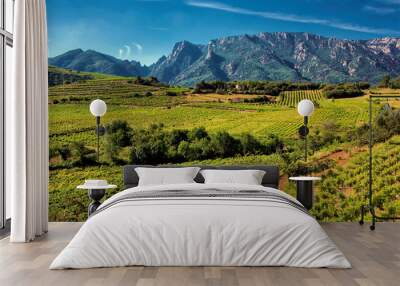 Vineyards and mountains in the Saint Chinian wine region of the Languedoc, south of France Wall mural