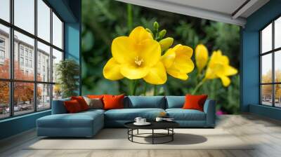 Yellow freesia flowers against a green foliage background Wall mural