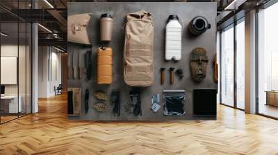 Basic survival kit contents displayed, emphasizing the essential and fundamental necessities for emergencies, in a straightforward presentation Wall mural