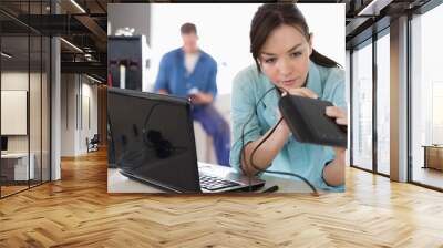 Female electrician working on laptop in home Wall mural