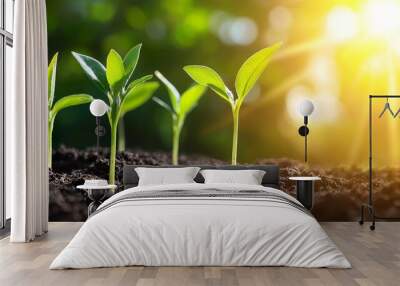 Close-up of seedlings in fertile soil with a blurred forest in the background, gentle sun rays, fresh green leaves, natural growth, earth's cycle of renewal Wall mural