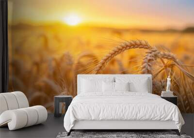 Close view of barley grains with a wide field backdrop under a bright yellow sunset sky, capturing the essence of a peaceful evening Wall mural