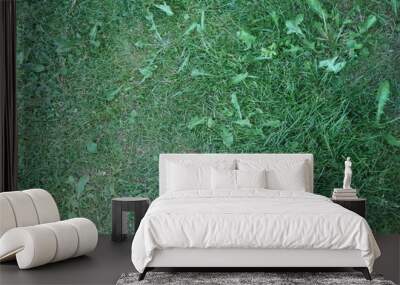 Grass Wall mural