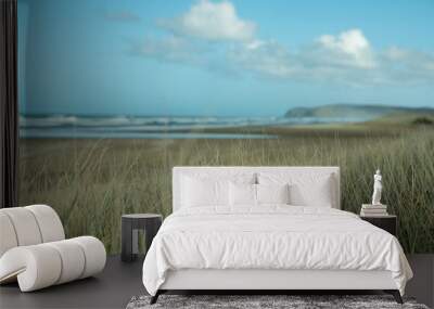 Grass with sea and land in the background at Cape Reinga New Zealand Wall mural