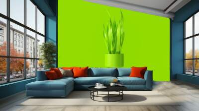 Lime Green Mother In Laws Tongue with Lime Green Plant Pot 3d illustration 3d render Wall mural