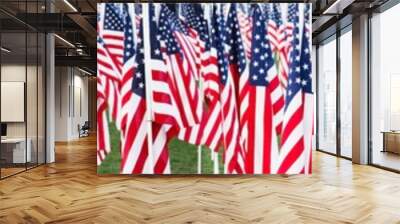 stars and stripes banner Wall mural