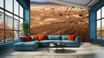 Rugged and Desolate Landscape Petrified Forest Arizona Wall mural