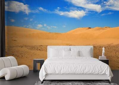 Sand Dunes Wall mural