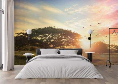 nature background concept: alone tree on meadow sunset. Wall mural